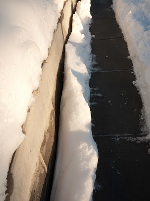 Snow-lined sidewalk