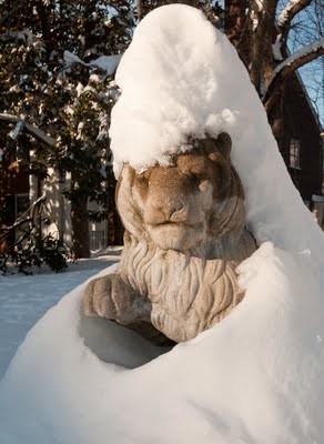 Lion sculpture with snow.